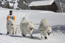 Kandersteg 2013